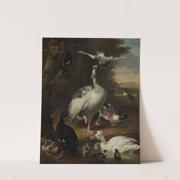 Birds by Melchior d'''Hondecoeter