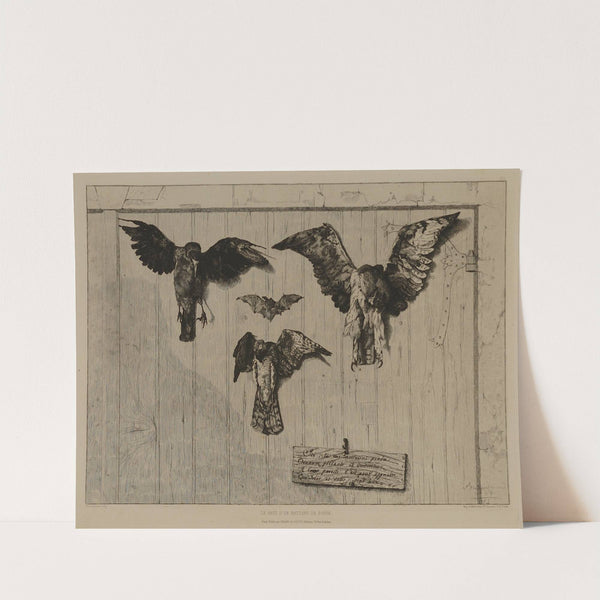 Birds Nailed to a Barn Door (1852) by Félix Bracquemond