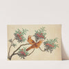 Birds of China (1800-1899)