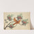 Birds of China (1800-1899)