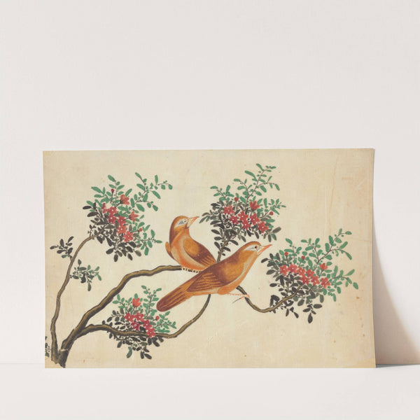 Birds of China (1800-1899)