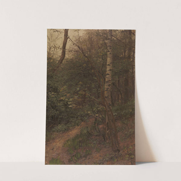 Birken am Waldrand (1902) by Alexander Koester