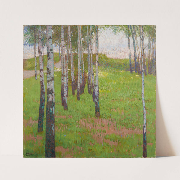 Birkenwäldchen im Abendlicht (1902) by Carl Moll