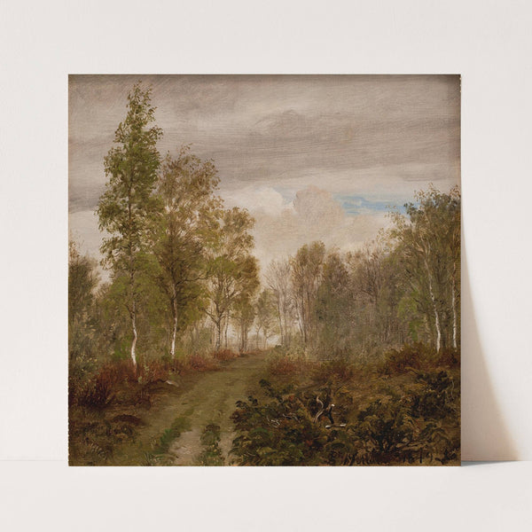 Birketræer på Læsø efter regn (1848 - 1849) by P. C. Skovgaard