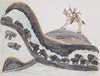 Bison hunt with Indian on horseback