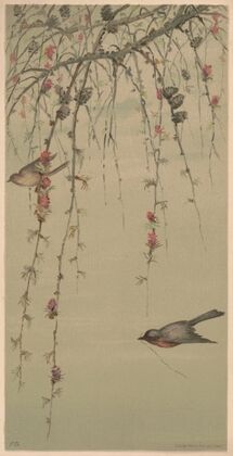 Bits of nature, panel no. 291, larch (1882)