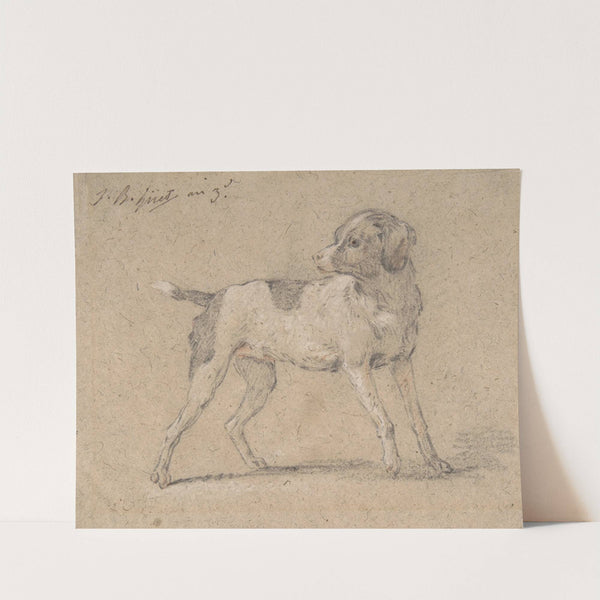 Black and White Dog, Head Turned to the Left by Jean-Baptiste Huet
