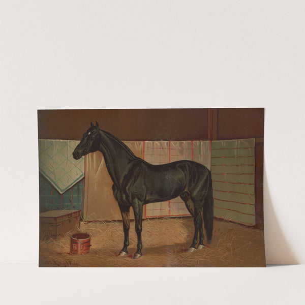 Black Cloud, a horse in stable (1882) by Scott Leighton