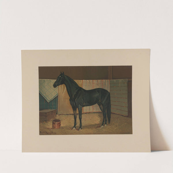 Black Cloud by Scott Leighton