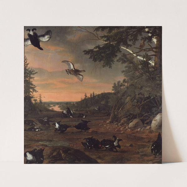 Black Cocks at Ground (1675) by David Klöcker Ehrenstrahl