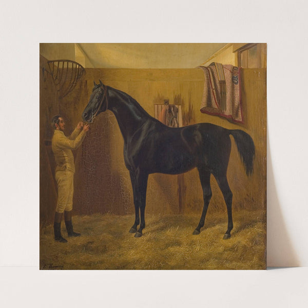 Black Comet (1848 - 1849) by Fritz Thomsen