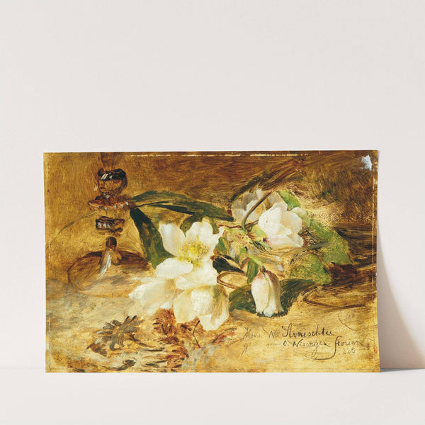 Black hellebore by Olga Wisinger-Florian