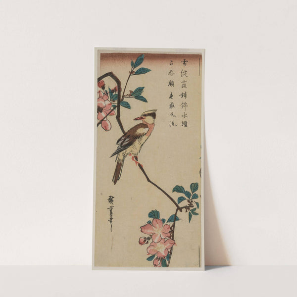 Black-Naped Oriole (Korean Warbler) on a Hall Crabapple (1832-35) by Andō Hiroshige