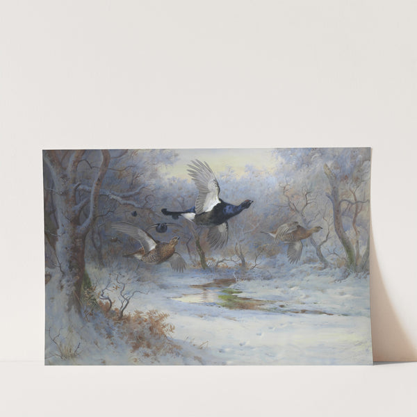 Blackcock And Grouse In Flight – Winter by Archibald Thorburn