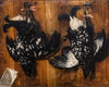 Blackcock