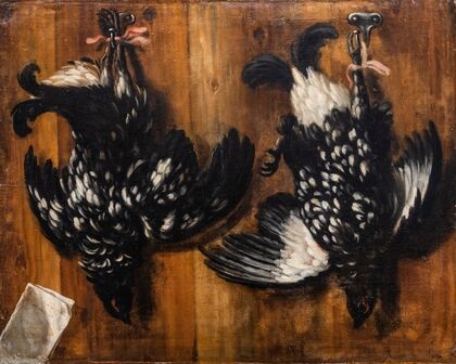 Blackcock