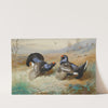 Blackcocks At The Lek (1901) by Archibald Thorburn