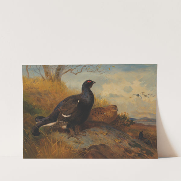 Blackgame on a rocky outcrop, with a loch beyond by Archibald Thorburn