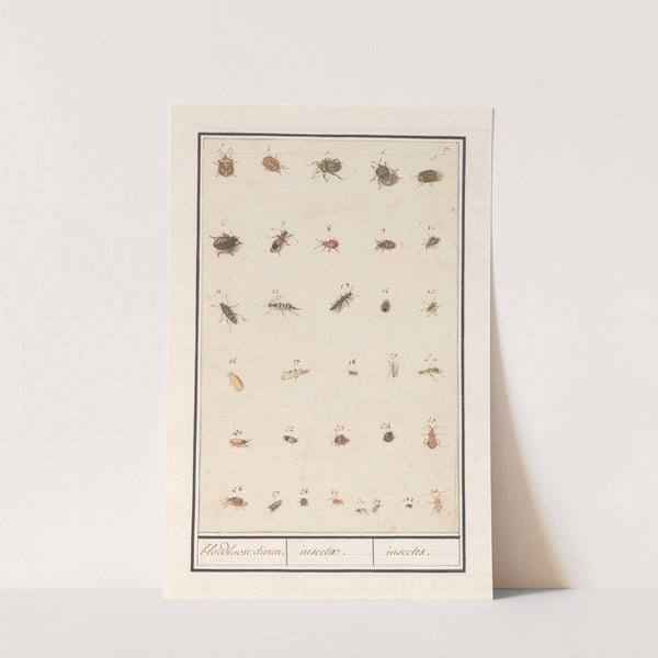 Blad met drieëndertig insecten bloedloose dieren. insectae. insectes. (1596-1610) by Anselmus Boëtius de Boodt