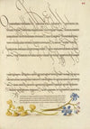 Bladder Senna and Alpine Squill (1561–1596)