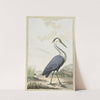 Blauwe reiger by Jabes Heenck