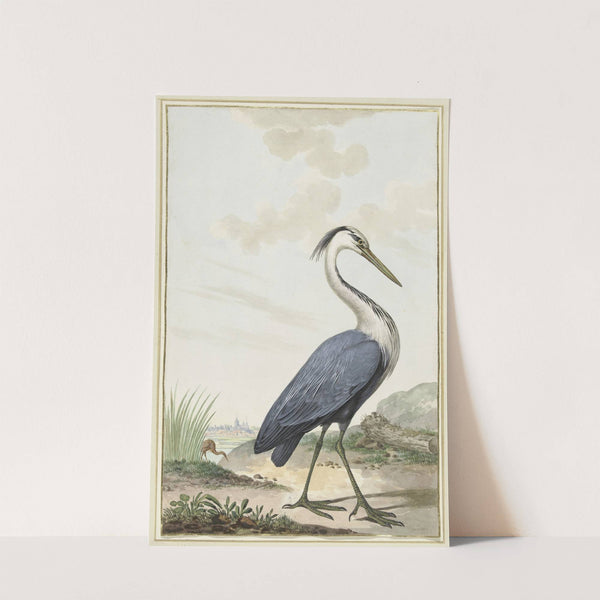 Blauwe reiger by Jabes Heenck