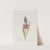 Blazing Star, gay feather, button snakeroot. by S. Fred Prince