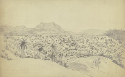 Blick auf den Pan de Guajaibón auf Kuba