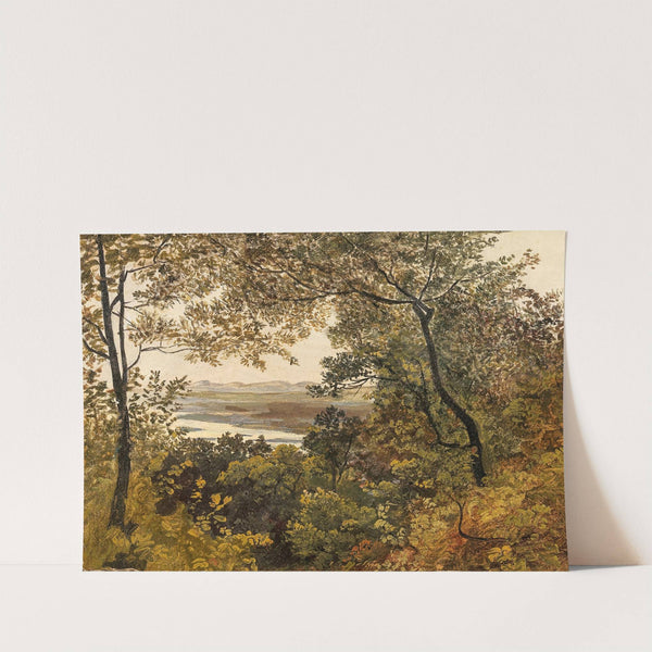 Blick auf die unregulierte Donau vom Bisamberg aus gesehen by Circle of Friedrich Gauermann