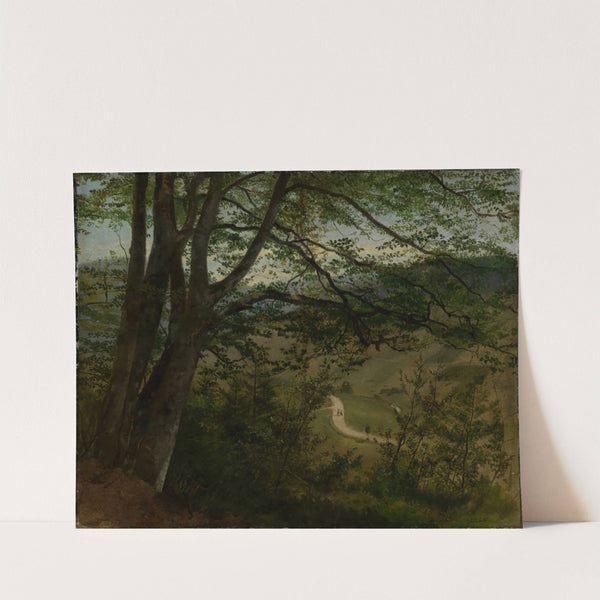 Blick durch Bäume und Gesträuch auf Tal (1861) by Hans Thoma