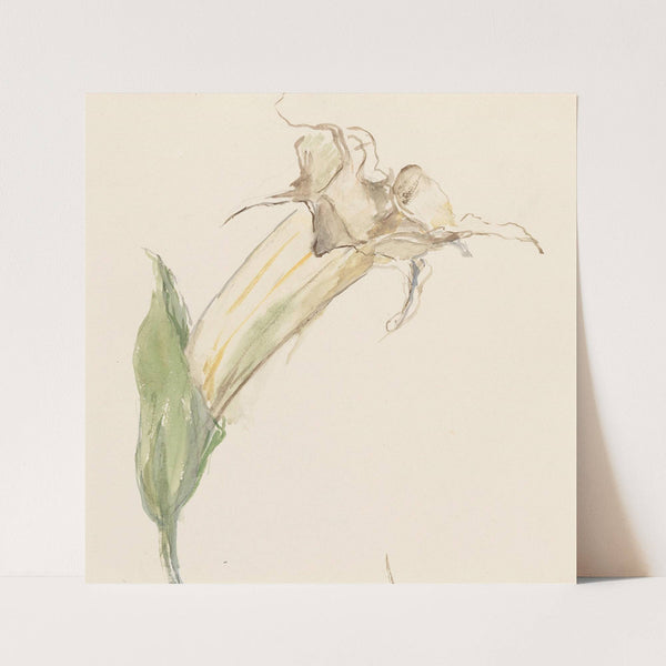Bloem (1844 - 1909) by Sientje Mesdag Van Houten