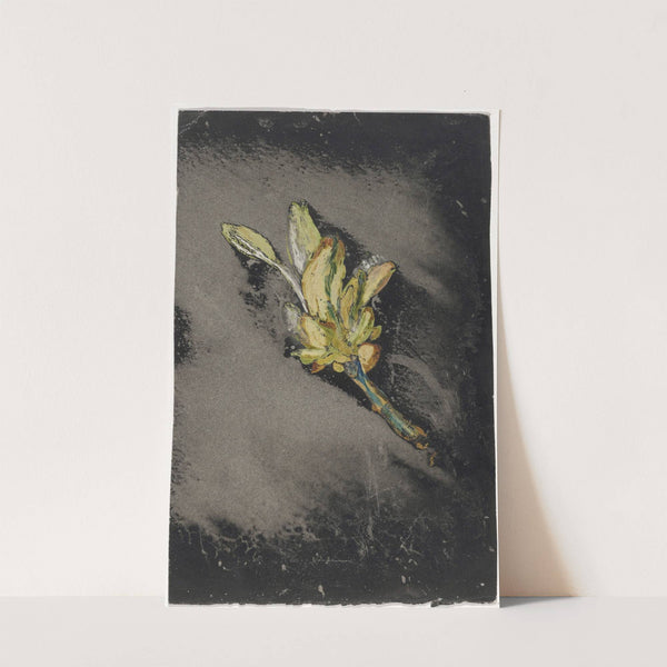 Bloem V (1874 - 1945) by Carel Adolph Lion Cachet