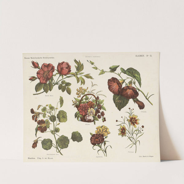 Bloemen (1875-1919) by Emrik & Binger