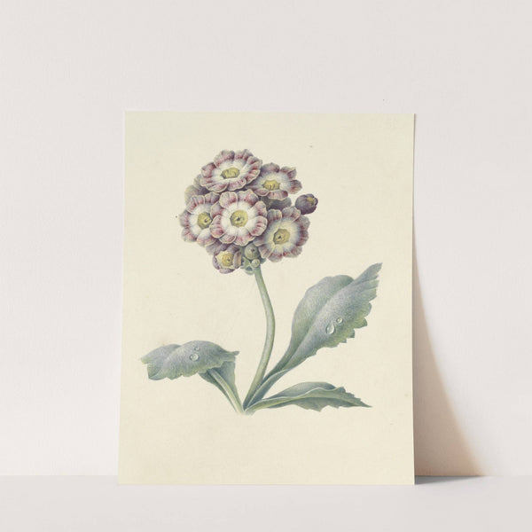 Bloemenstudie by Maria Margaretha van Os