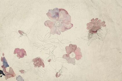 Bloemenstudies in paars en roze