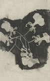 Bloemstudie