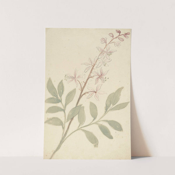 Bloemstudie by Elias van Nijmegen