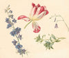 Bloemstudies