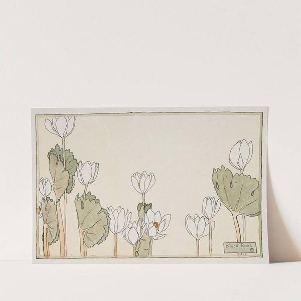 Blood Root by Hannah Borger Overbeck