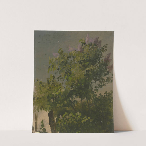 Blooming lilac bush by Philipp Rumpf