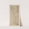 Blossoming plum (1759) by Jin Nong