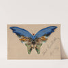 Blue Butterfly (1896) by Albert Bierstadt