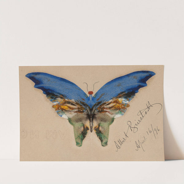 Blue Butterfly (1896) by Albert Bierstadt