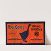 Blue Goose Bahama Tomatoes Label (1930s)