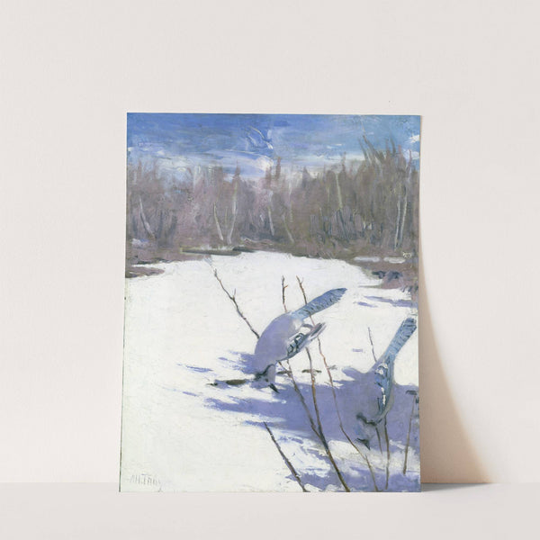 Blue Jays In Winter, Study For Book Concealing Coloration In The Animal Kingdom by Abbott Handerson Thayer