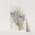 Blue Puya (1815-1819) by Sydenham Edwards