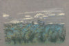 Blue Thicket