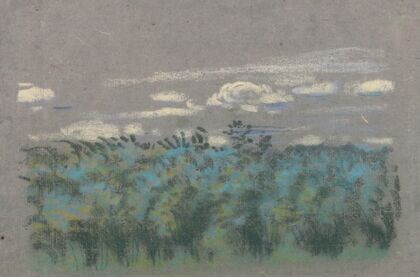 Blue Thicket