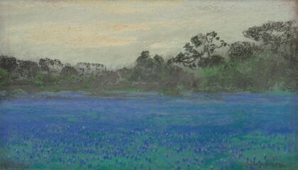 Bluebonnet Field