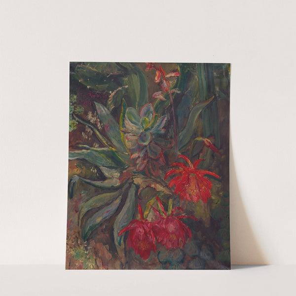 Blühende Kakteen by Friedrich von Radler